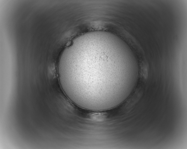 X0000103910465200809261614