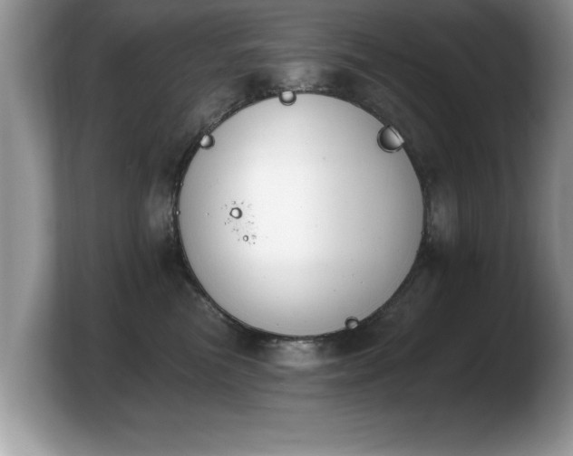 X0000103910473200809261614