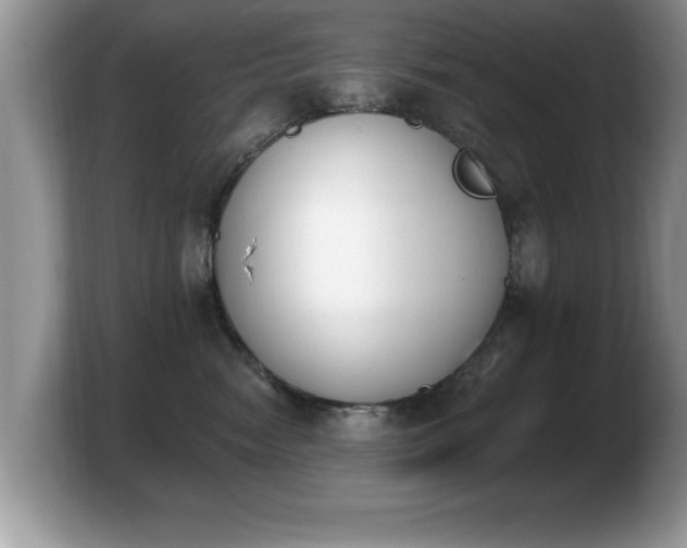 X0000103910474200809261614