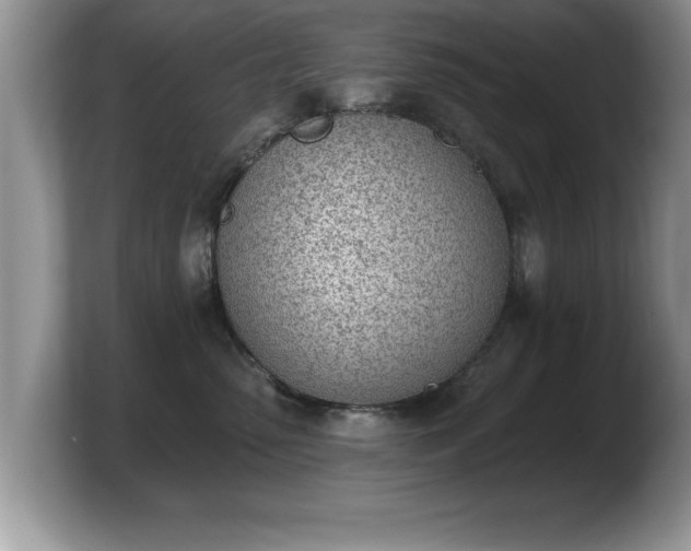 X0000103910475200809261614