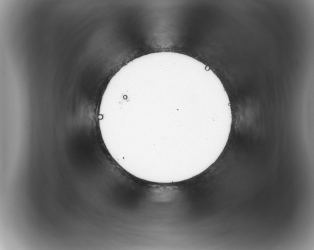 X0000103910476200809261614