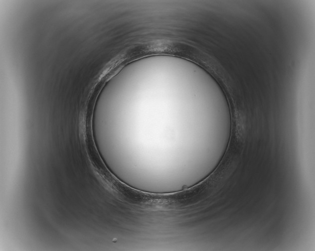 X0000103910482200809261613