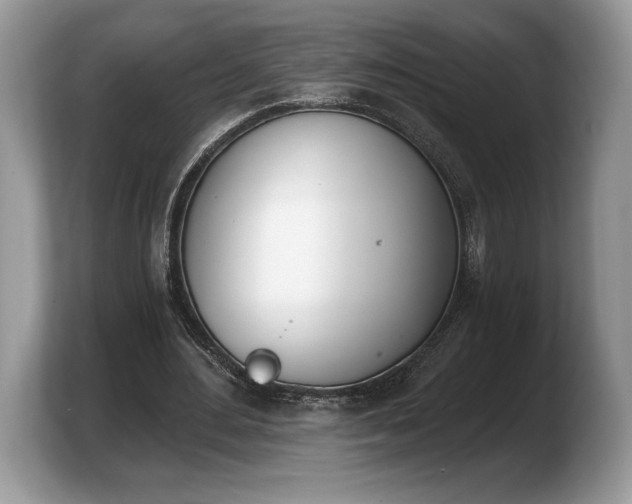 X0000103910484200809261613