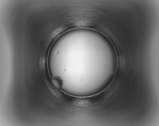 X0000103910491200809261613