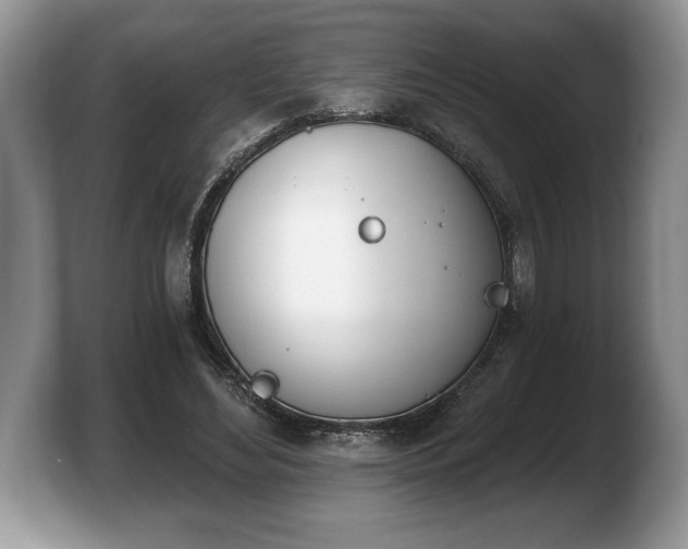 X0000103910492200809261613