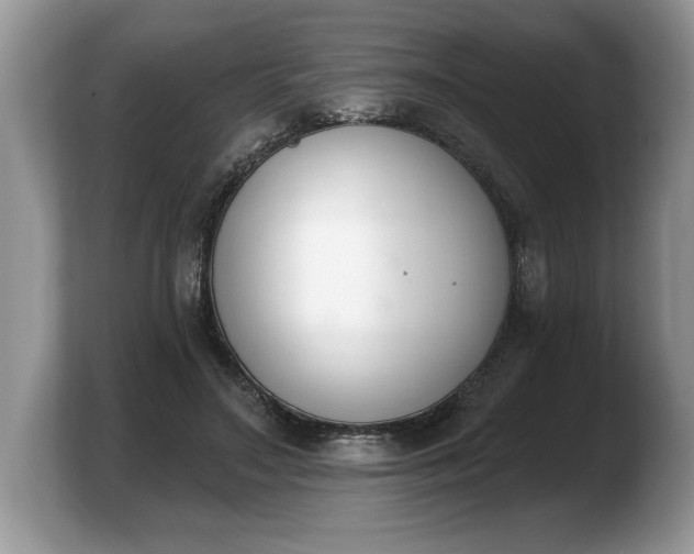 X0000103910499200809261613