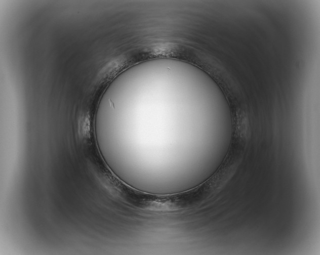 X0000103910502200809261613