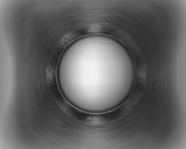 X0000103910503200809261613
