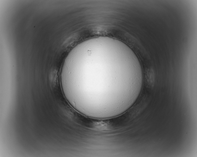 X0000103910511200809261613