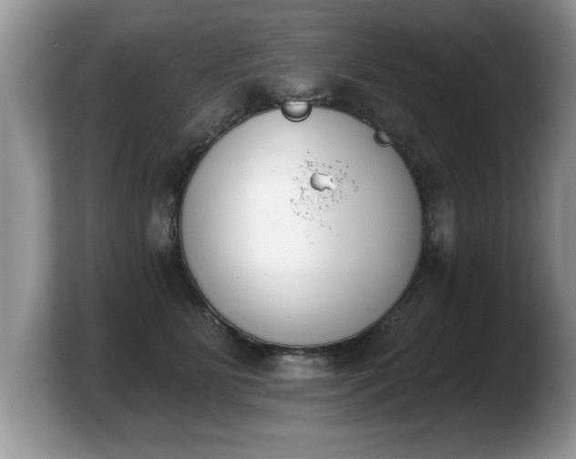 X0000103910515200809261613