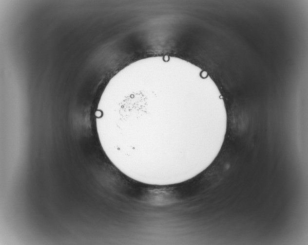 X0000103910516200809261613