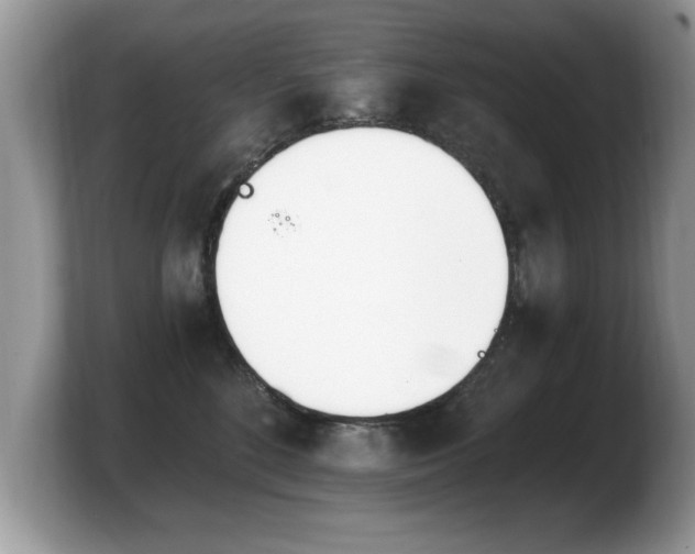 X0000103910520200809261613