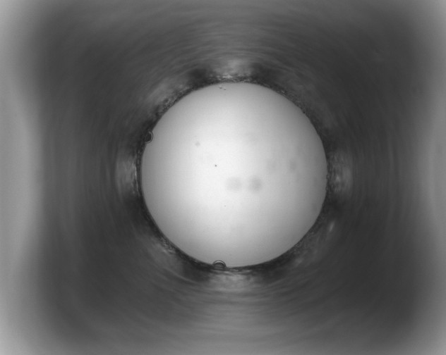 X0000103910523200809261613