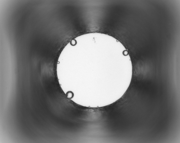 X0000103910524200809261613