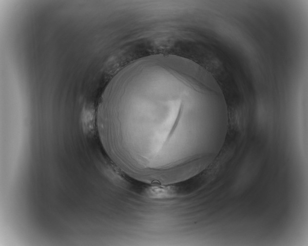 X0000103910526200809261612