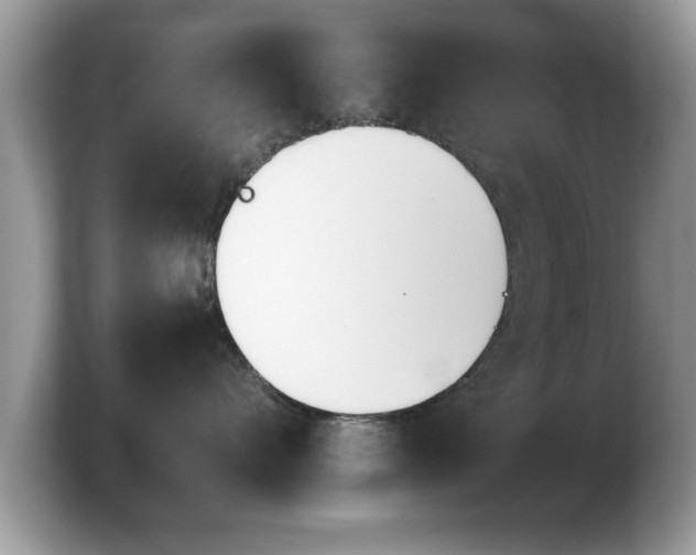 X0000103910528200809261612