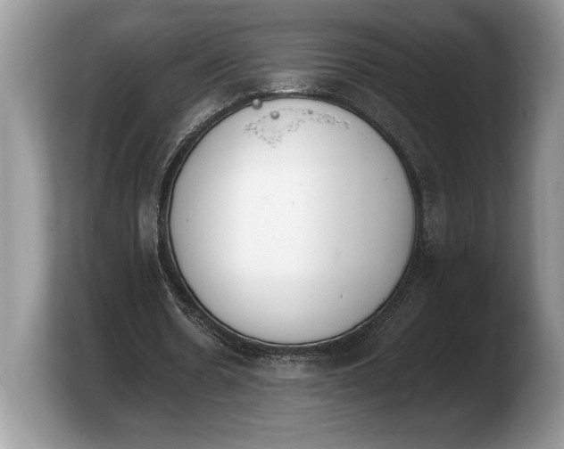 X0000103910530200809261612