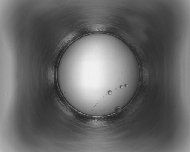 X0000103910537200809261612