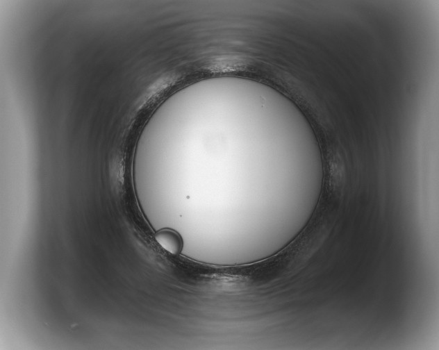 X0000103910539200809261612