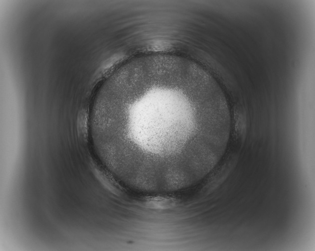 X0000103910542200809261612