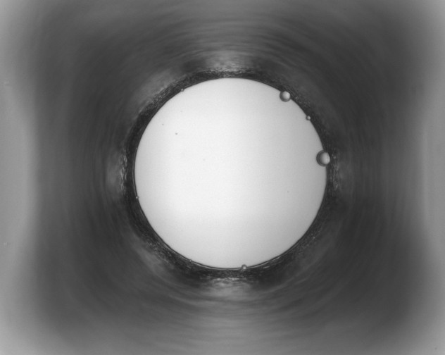 X0000103910544200809261612