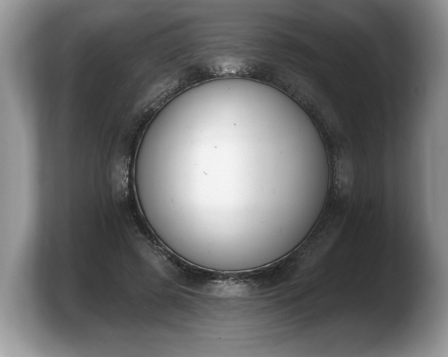 X0000103910545200809261612