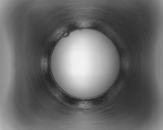 X0000103910549200809261612
