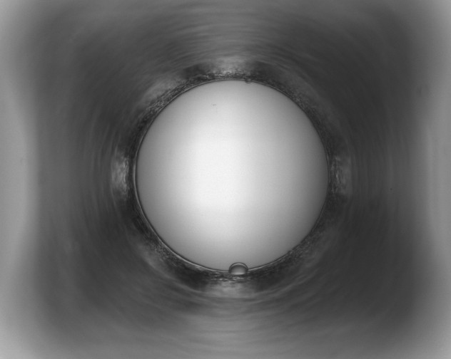 X0000103910550200809261612