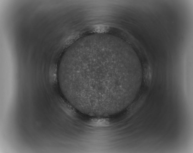 X0000103910553200809261612