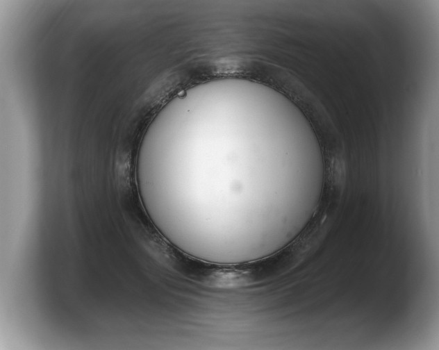 X0000103910557200809261612