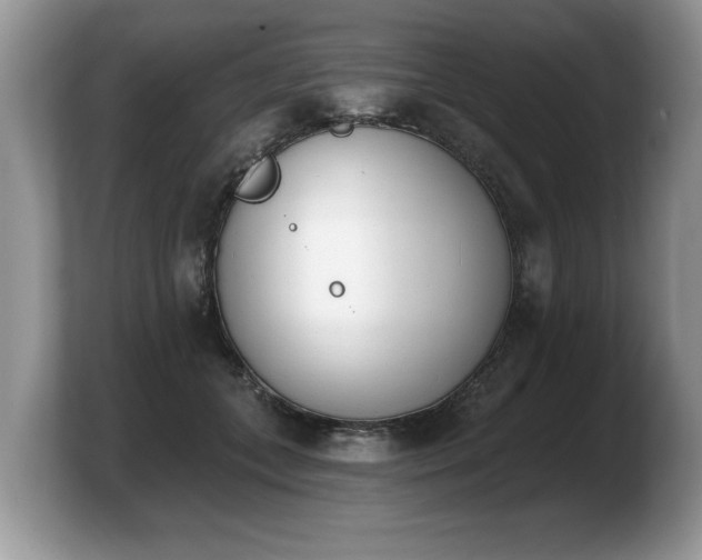 X0000103910559200809261612