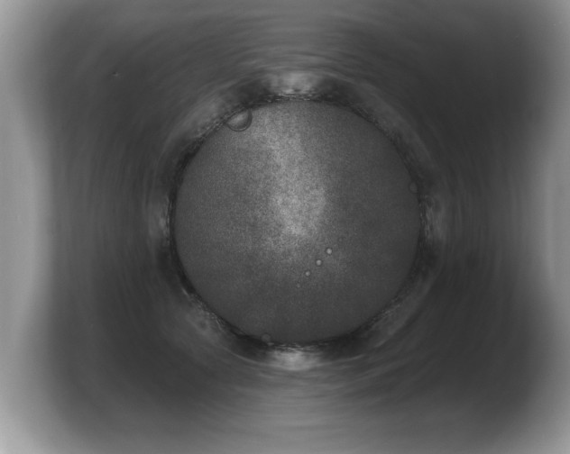X0000103910561200809261612
