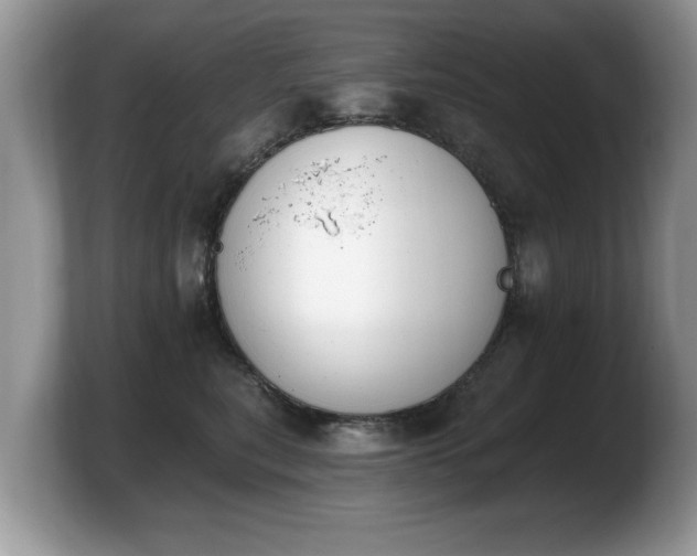X0000103910567200809261612