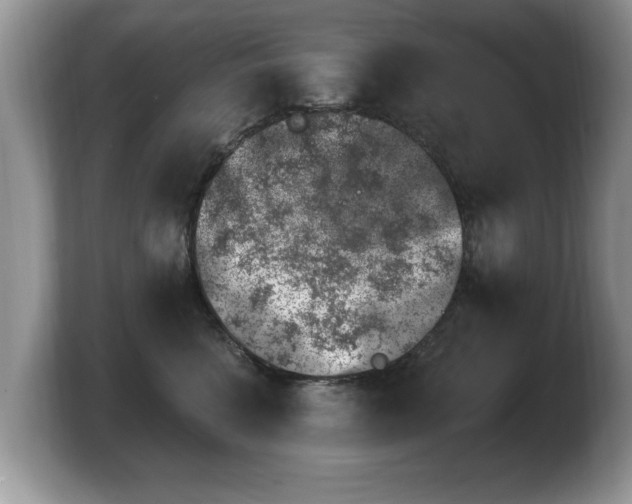 X0000103910568200809261612