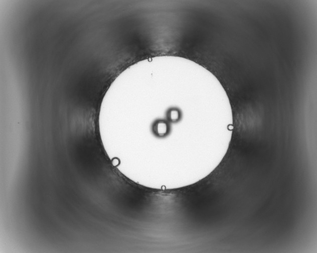 X0000103910570200809261612