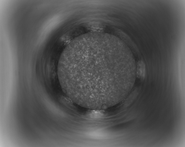 X0000103910573200809261612