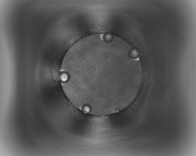 X0000103910576200809261612