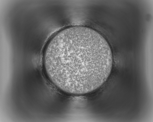 X0000103910583200809261612