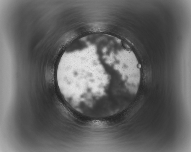 X0000103910585200809261612