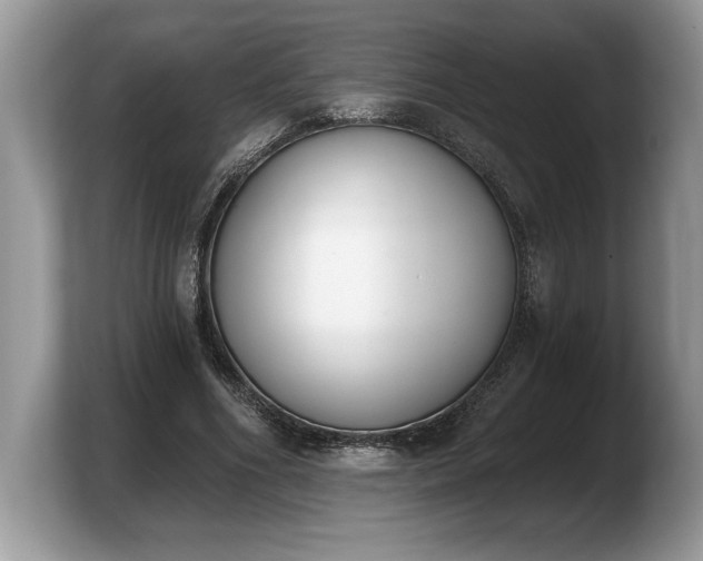 X0000103910586200809261612