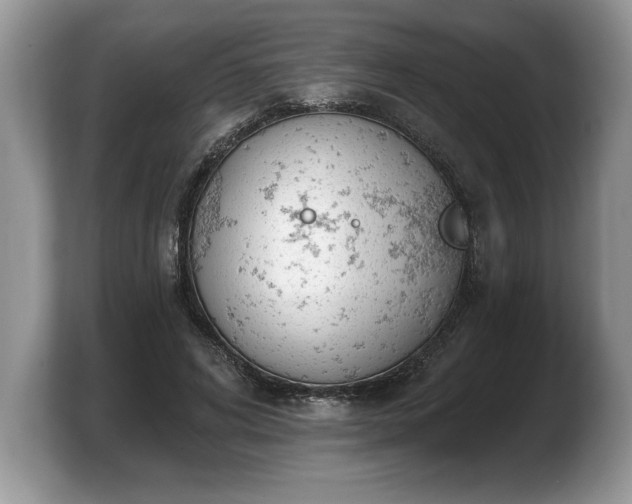 X0000103910592200809261612