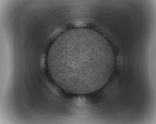 X0000103910600200809261611