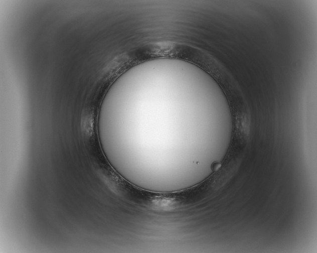 X0000103910602200809261611