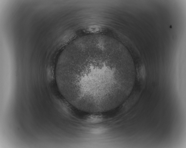 X0000103910606200809261611