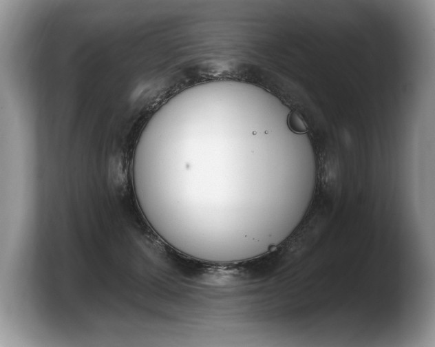 X0000103910607200809261611