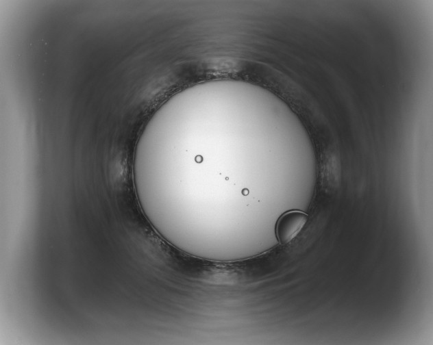 X0000103910608200809261611