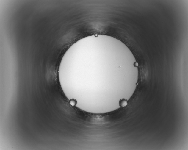 X0000103910613200809261611