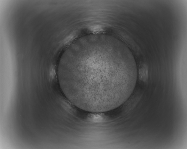 X0000103910618200809261611