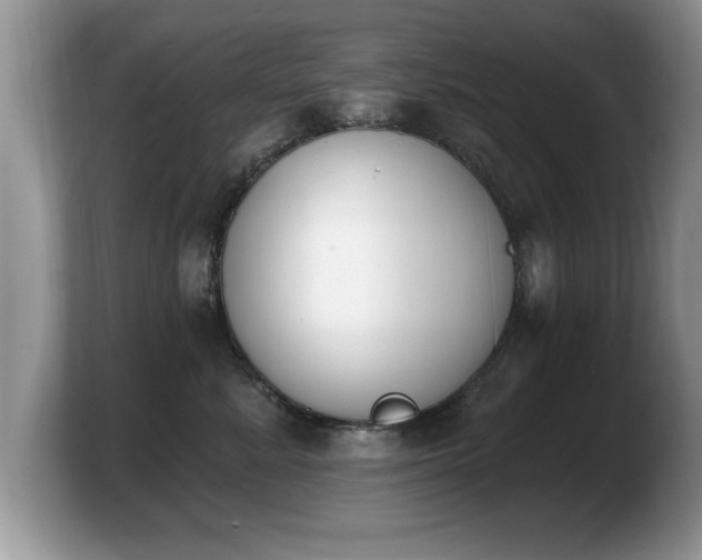 X0000103910619200809261611