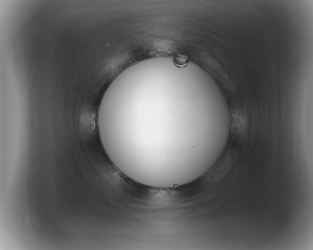 X0000103910621200809261611